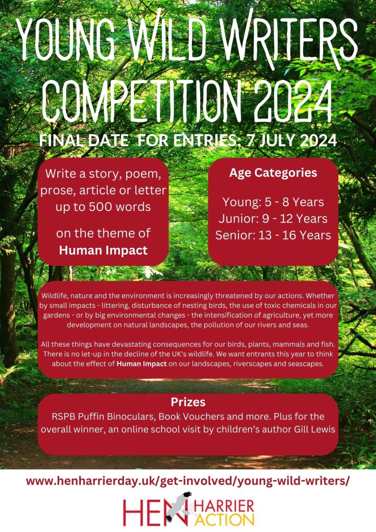 Poster for Young Wild Writers competition