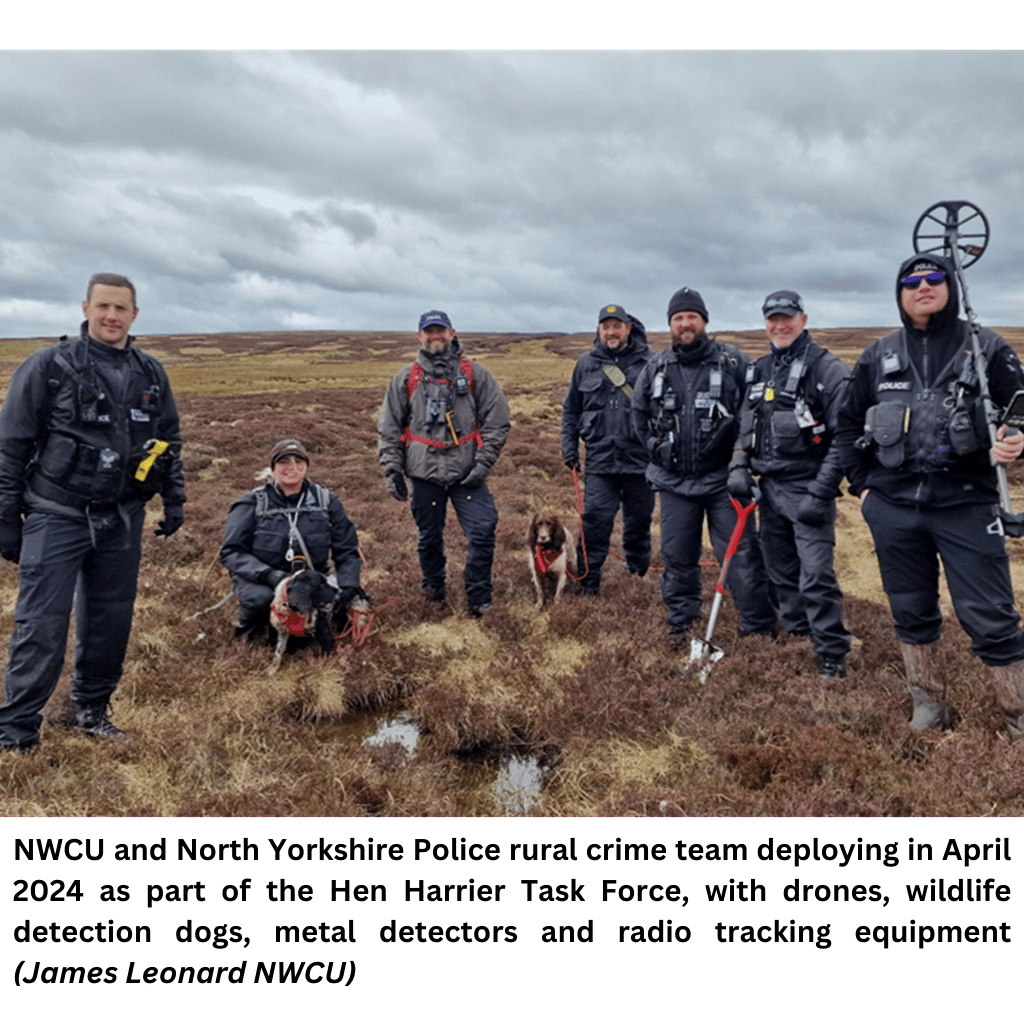 Several police officers on moorland with dogs, detectors and drones