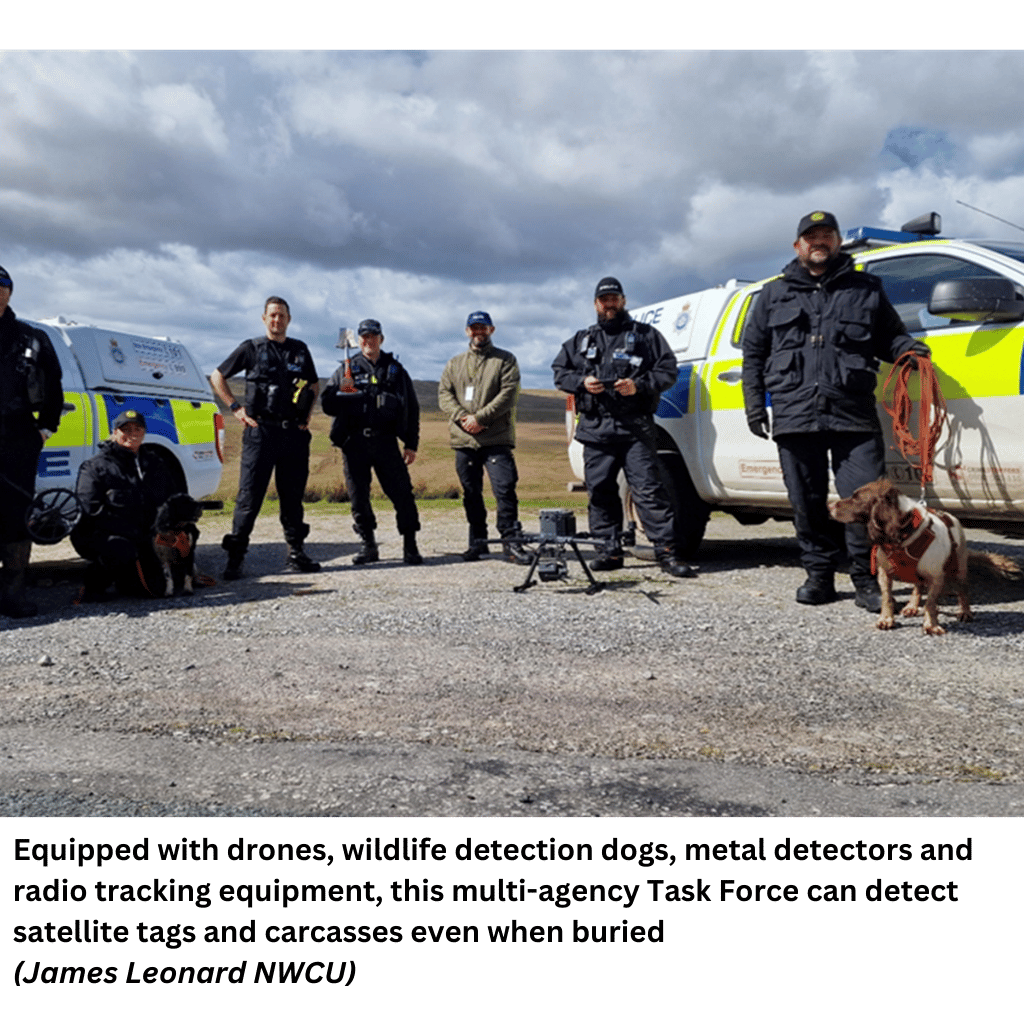 Several police officers with detection dogs, drones and metal detectors